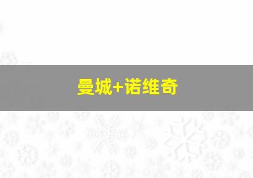 曼城 诺维奇